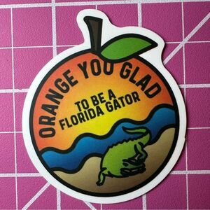 💜13/$13 +Bundle Sticker Sale | Travel Florida Waterproof Sticker